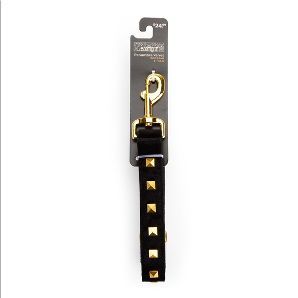 Other - Bootique Dog Leash